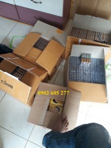 hinh _dau_thai_lan_gia_si (13)