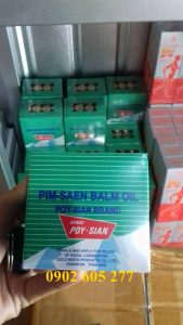 hinh _dau_thai_lan_gia_si (24)