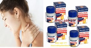 gelia 7.3 3